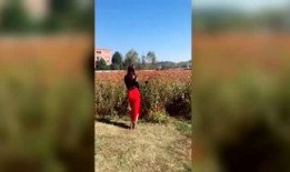 吃瓜侦探受刑,揭秘背后真相与悬疑