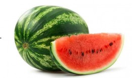 颐和绿洲吃瓜,瓜果飘香，共享清凉时光