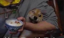 吃瓜博主医生,趣味与专业并存