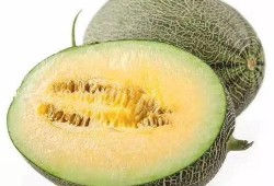 藤蜜瓜怎么吃,藤蜜瓜的多重美味吃法探索