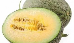 藤蜜瓜怎么吃,藤蜜瓜的多重美味吃法探索