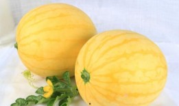 吃小黄皮瓜,清爽解暑的夏日美味