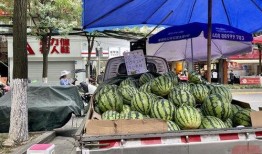 探店吃瓜,揭秘美食背后的故事与秘密