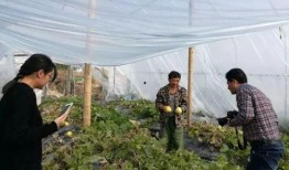 吃瓜群众蚌埠,吃瓜群众眼中的城市风采