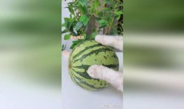 爆爆珠吃瓜,揭秘娱乐圈那些不为人知的幕后故事