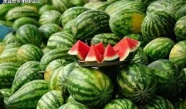 吃瓜吃瓜是什么,揭秘“吃瓜吃瓜”背后的网络文化现象