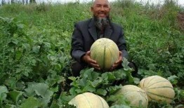 新疆吃瓜去哪里,跟随“吃瓜去”探寻瓜果飘香之地