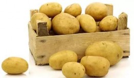 土豆开心吃瓜视频大全,盘点全网热门搞笑视频合集