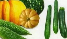 何山吃瓜,揭秘娱乐圈幕后故事