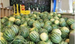 某吃瓜观众作品,揭秘吃瓜群众眼中的娱乐圈风云录