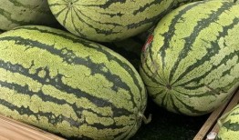 重庆疫情吃瓜照片