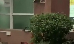 德宏最新吃瓜新闻,真相竟如此惊人！