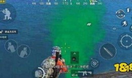 吃瓜和平精英外挂,外挂事件背后的真相与反思