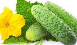 减肥吃刺瓜,天然低卡美食，轻松享瘦新选择