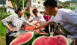 看热闹吃瓜素材,看热闹吃瓜，揭秘明星幕后故事