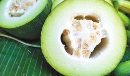 吃的脆瓜粒种上能长瓜吗,从种子到美味瓜果